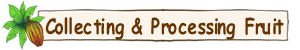 collect and process